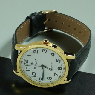 Купить Мужские часы Perfect 417N-06 на ремне d-40 (008889)