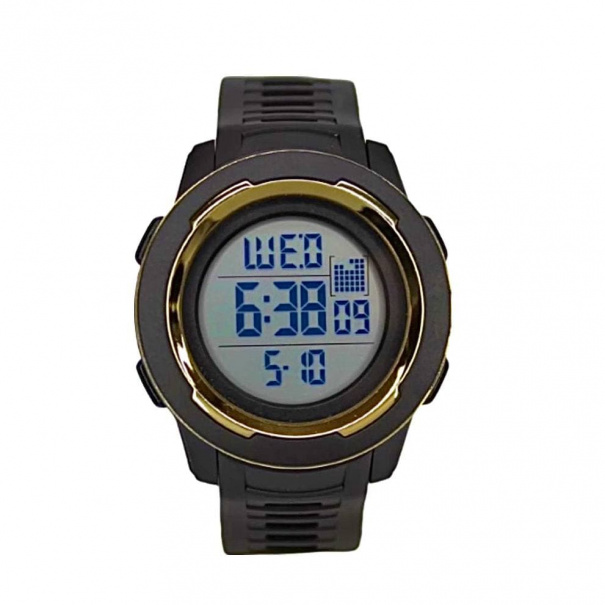 Купить Часы Skmei 1731 (Black-Gold)(008844) многофункциональные.