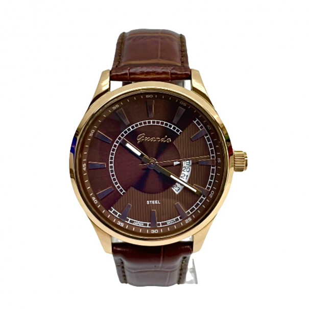 Купить Мужские часы GUARDO S00539A-2 (009583)