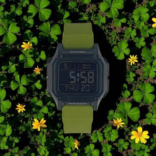 Купить Часы Skmei 2537 (013923)