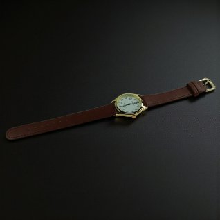 Купить Чоловічий годинник на ремені Perfect GXIP452-12 d-35 (014320)
