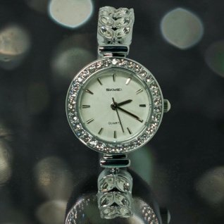 Часы на браслете Skmei 2547 d-26 (014980)